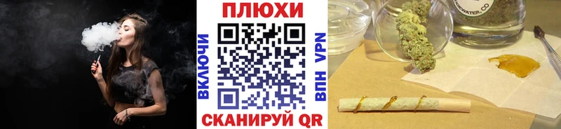 ГАШ Premium  Грайворон 