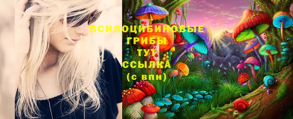 мескалин Алексин