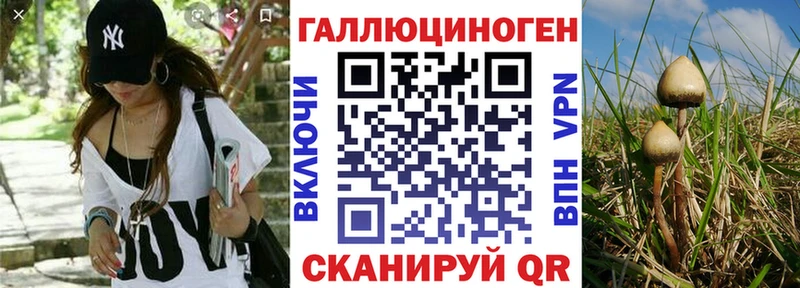 Псилоцибиновые грибы MAGIC MUSHROOMS  Грайворон 